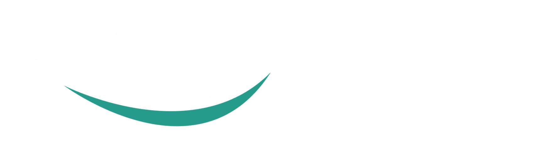 VASELO FZCO logo
